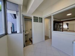 Dunearn Road (D11), Condominium #484958751